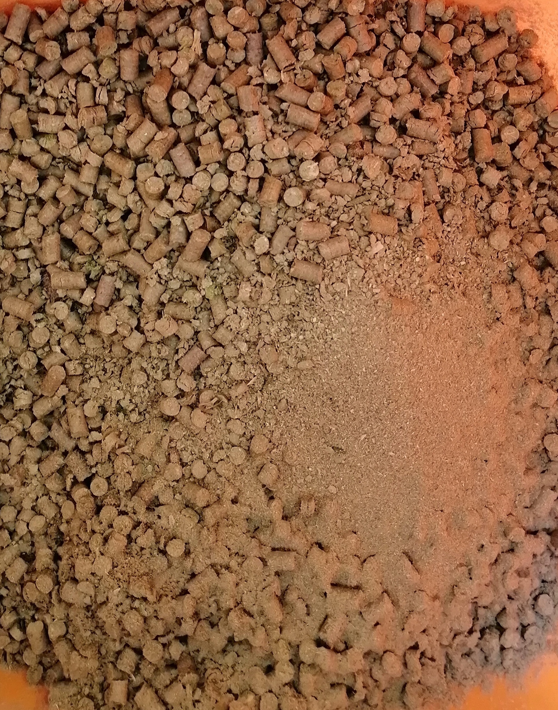 ForumEA/U/plt erba 1.jpg